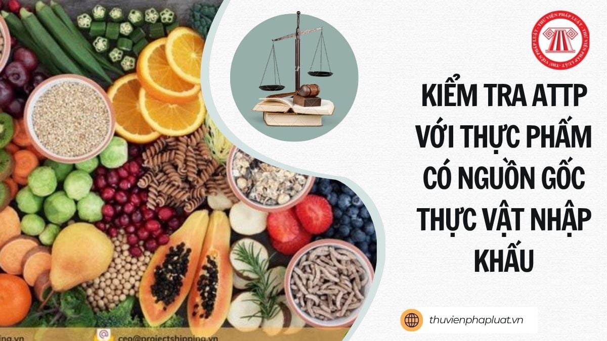 Hỏi đáp Pháp luật