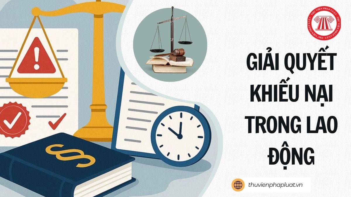 Hỏi đáp Pháp luật