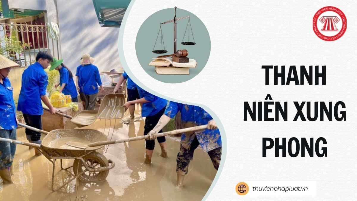 Hỏi đáp Pháp luật