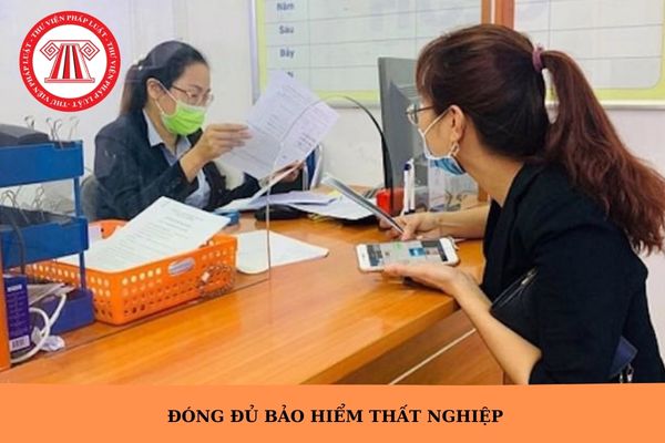 Hỏi đáp Pháp luật