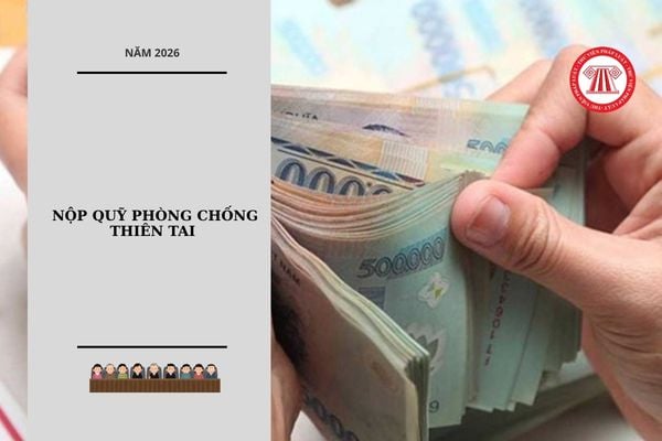 Hỏi đáp Pháp luật