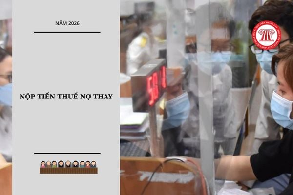 Hỏi đáp Pháp luật