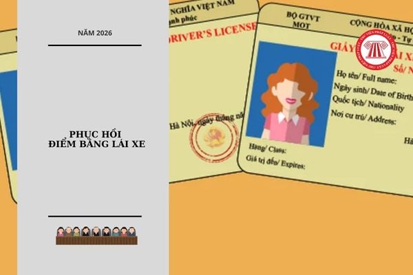 Hỏi đáp Pháp luật