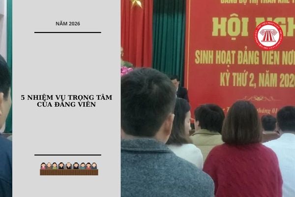 Hỏi đáp Pháp luật