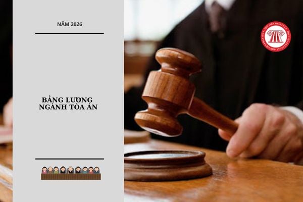Hỏi đáp Pháp luật