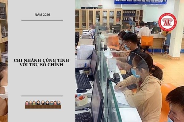 Hỏi đáp Pháp luật