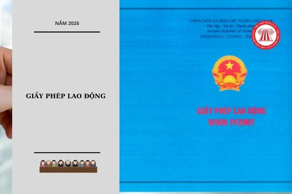 Hỏi đáp Pháp luật