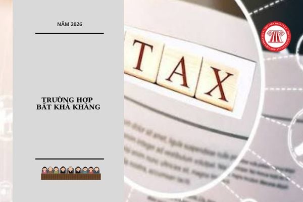 Hỏi đáp Pháp luật