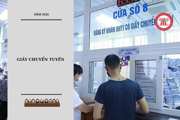 Hỏi đáp Pháp luật