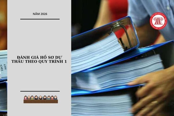 Hỏi đáp Pháp luật