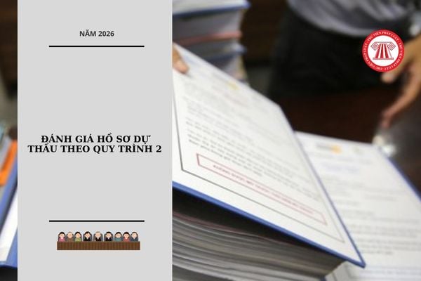 Hỏi đáp Pháp luật