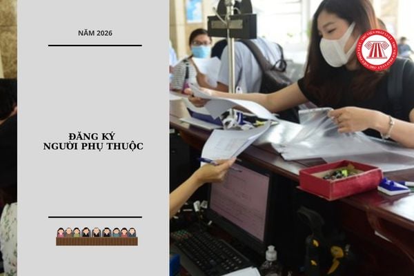 Hỏi đáp Pháp luật