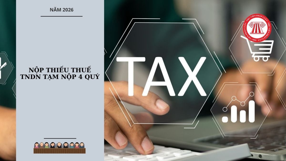 Hỏi đáp Pháp luật
