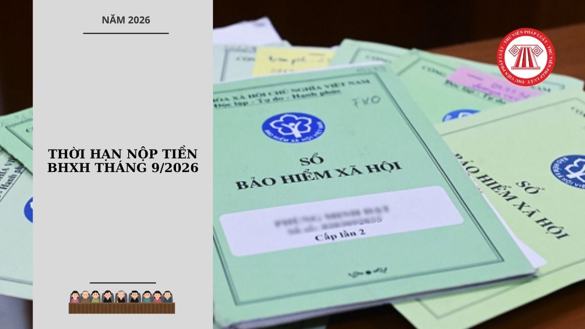 Hỏi đáp Pháp luật