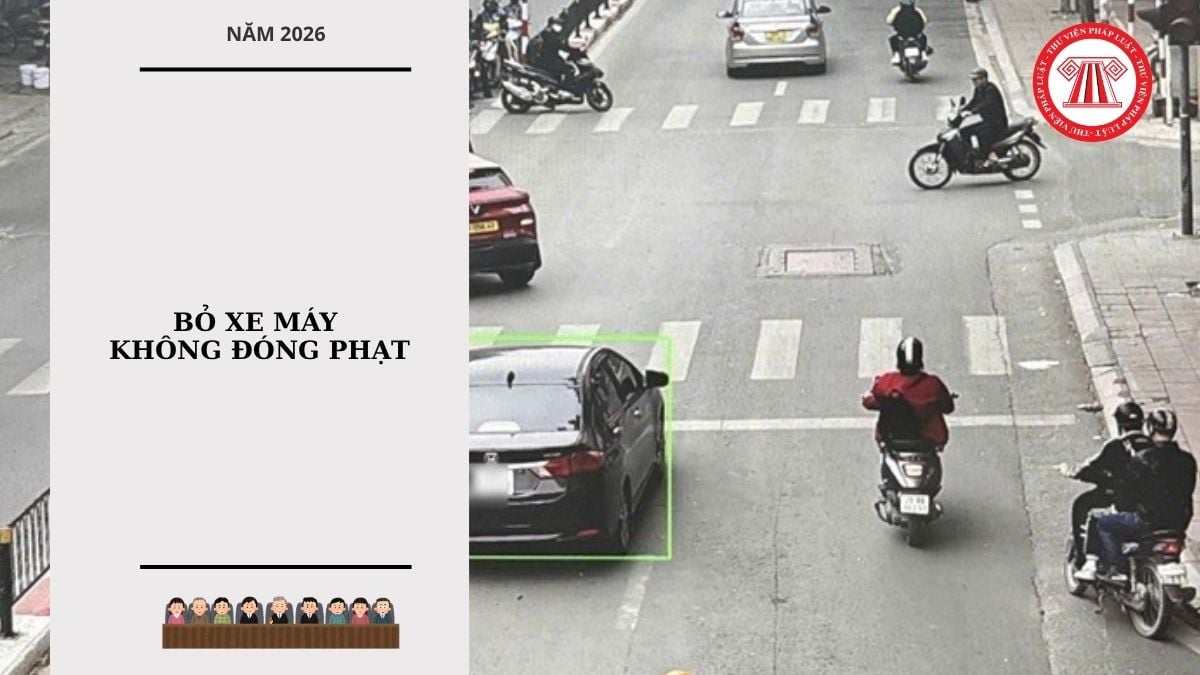 Hỏi đáp Pháp luật