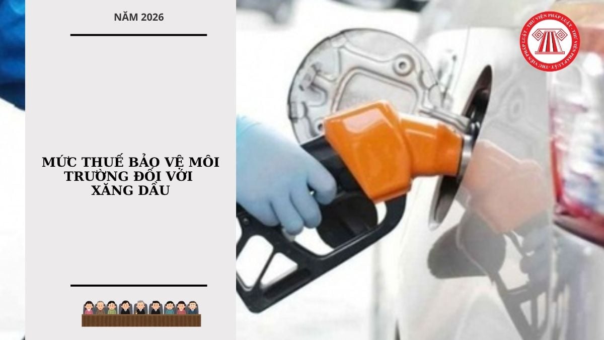 Hỏi đáp Pháp luật