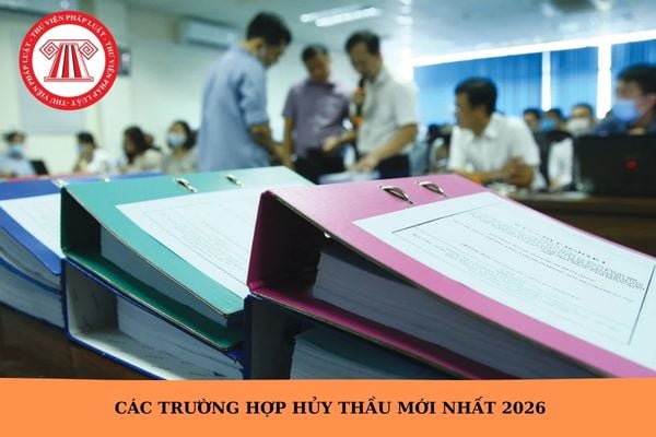 Hỏi đáp Pháp luật
