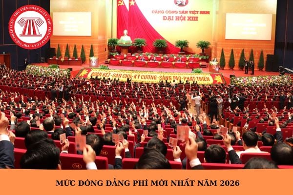 Hỏi đáp Pháp luật
