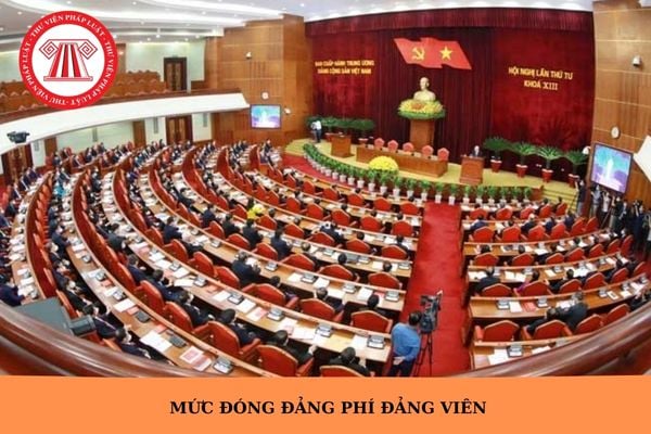 Hỏi đáp Pháp luật