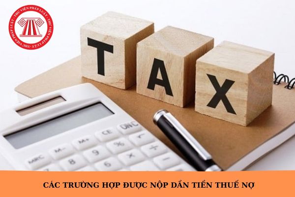 Hỏi đáp Pháp luật