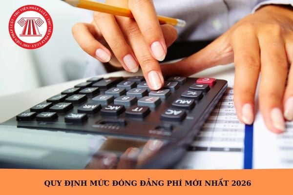 Hỏi đáp Pháp luật