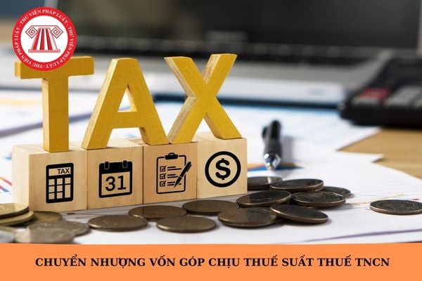 Hỏi đáp Pháp luật