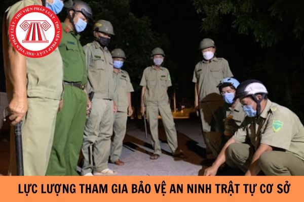 Hỏi đáp Pháp luật