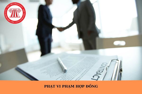 Hỏi đáp Pháp luật