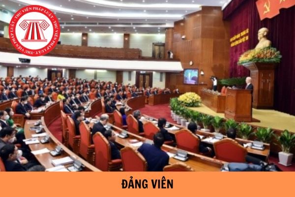 Hỏi đáp Pháp luật