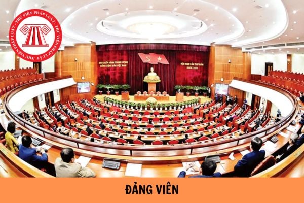 Hỏi đáp Pháp luật