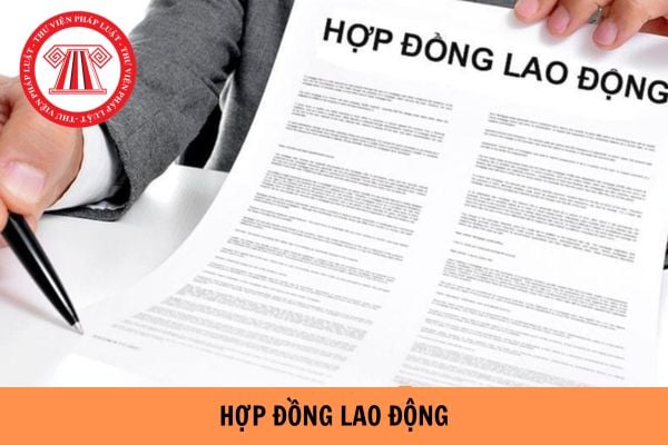 Hỏi đáp Pháp luật