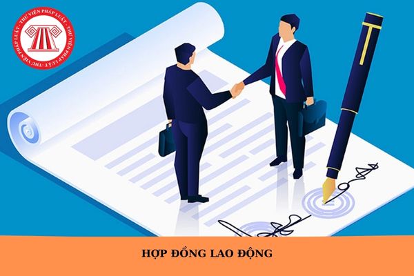 Hỏi đáp Pháp luật