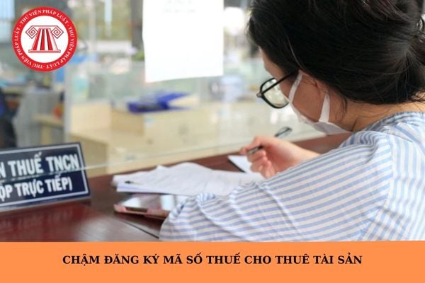 Hỏi đáp Pháp luật