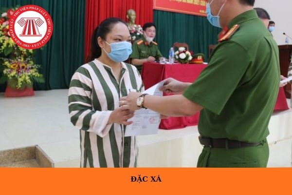 Hỏi đáp Pháp luật