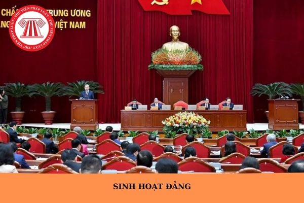 Hỏi đáp Pháp luật