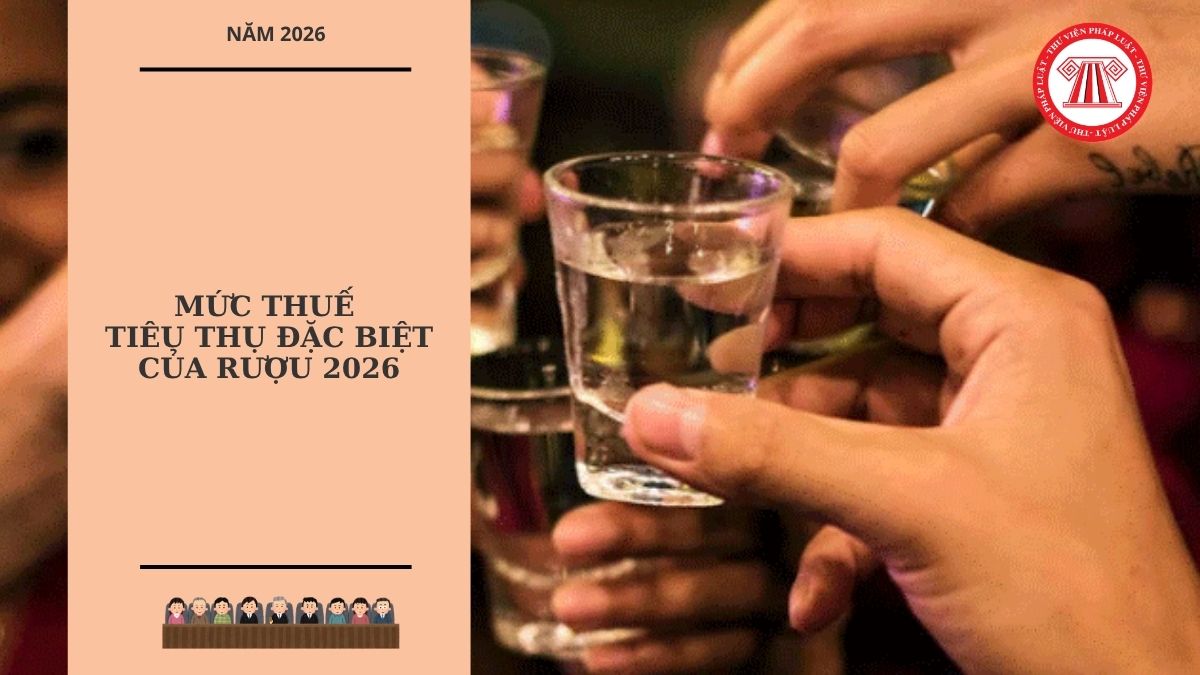 Hỏi đáp Pháp luật