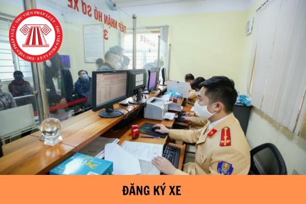 Hỏi đáp Pháp luật
