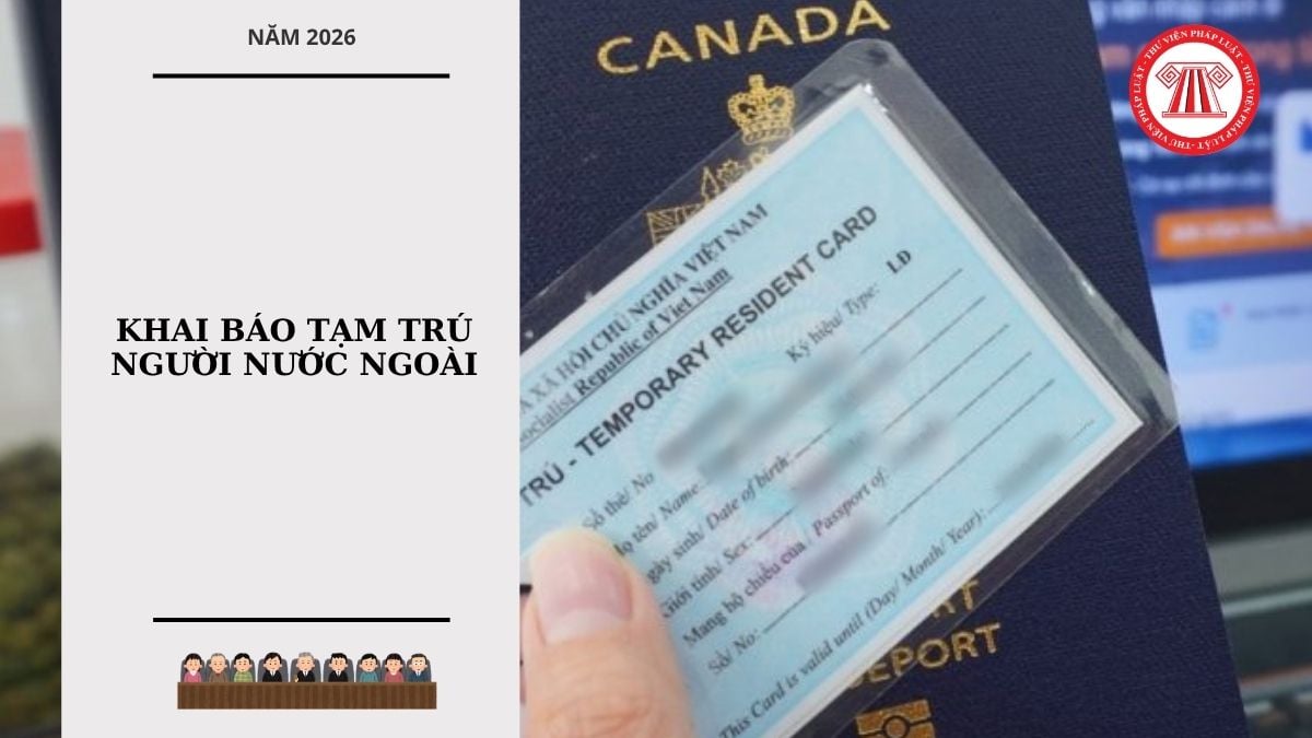 Hỏi đáp Pháp luật