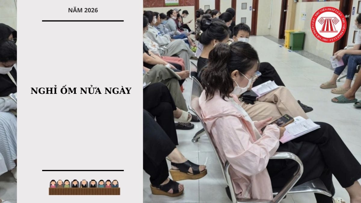 Hỏi đáp Pháp luật