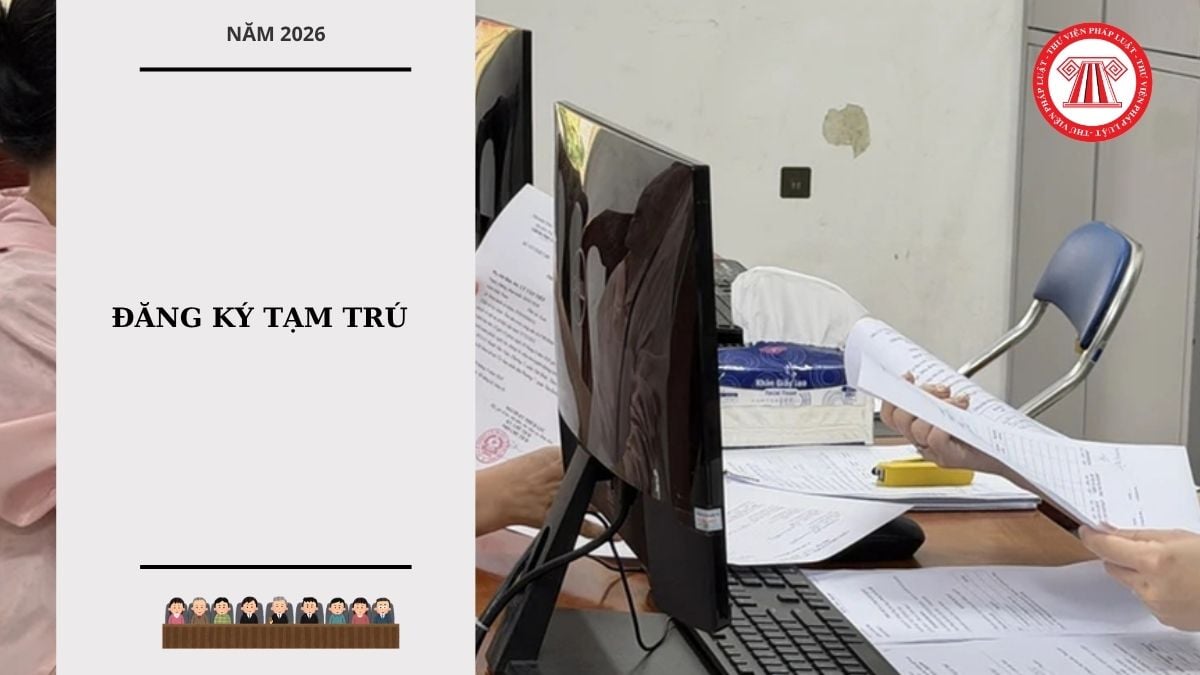 Hỏi đáp Pháp luật