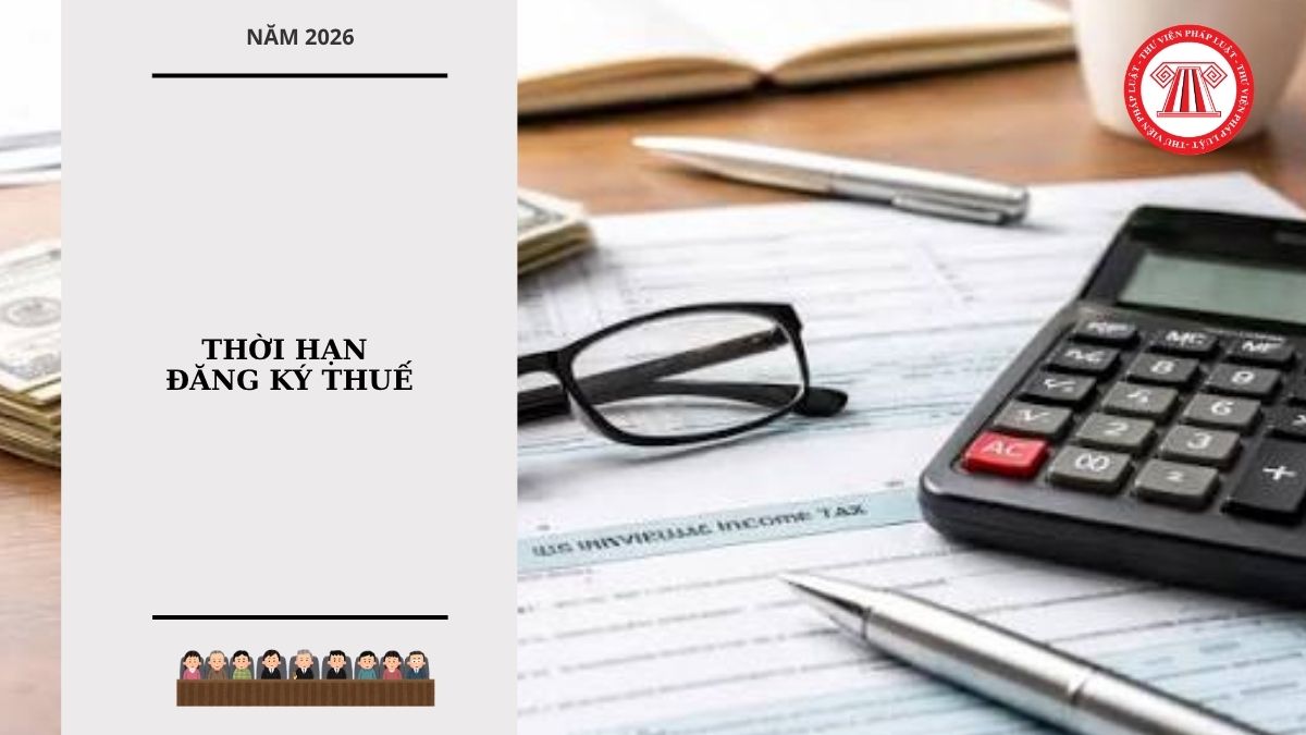 Hỏi đáp Pháp luật
