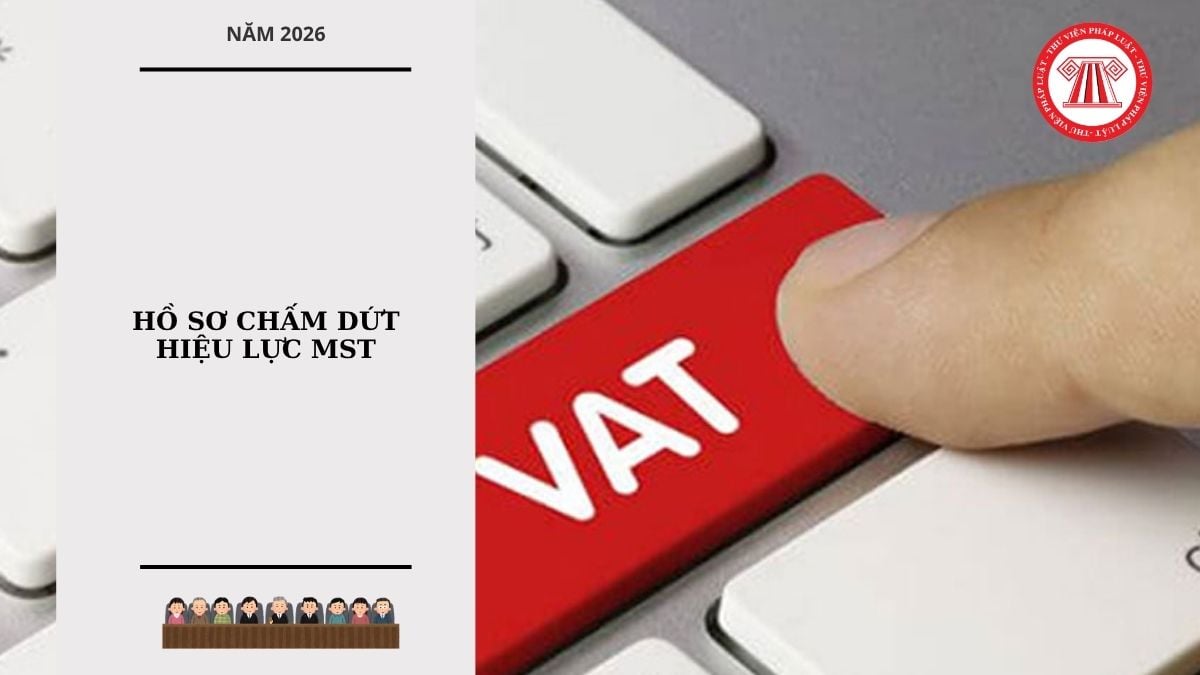 Hỏi đáp Pháp luật