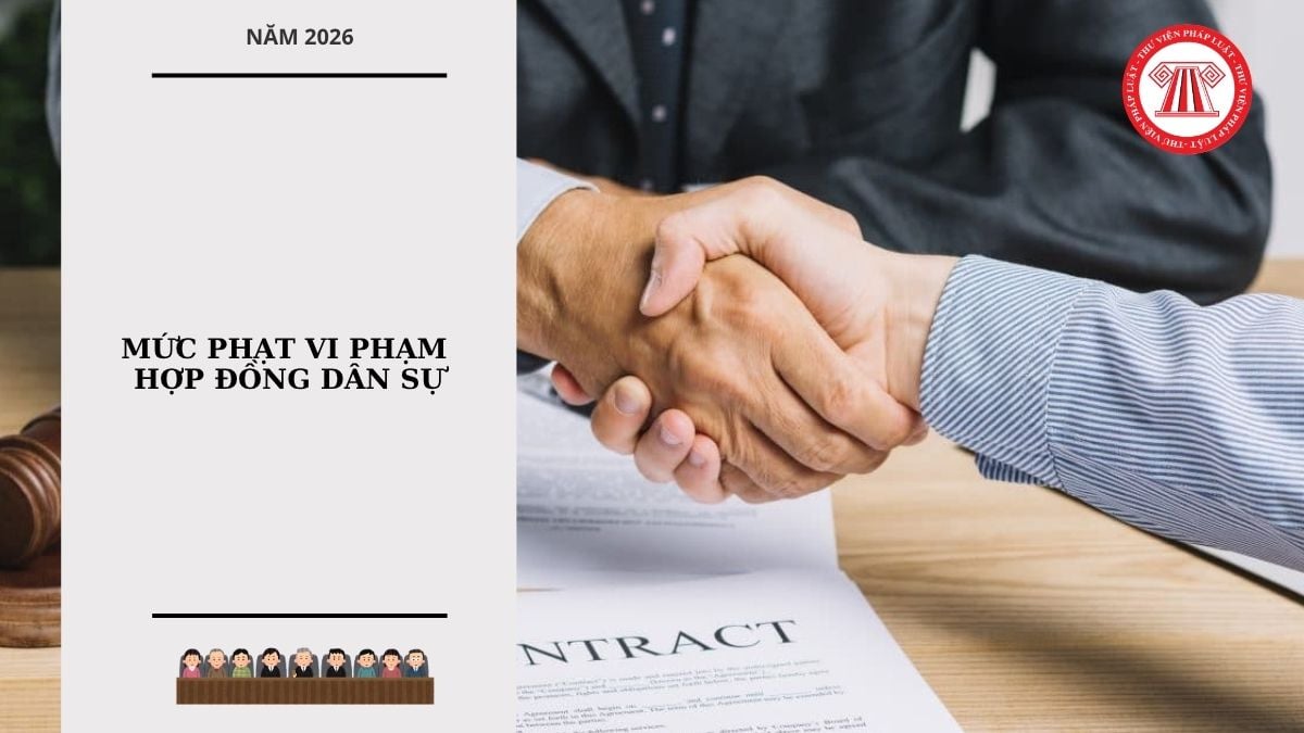 Hỏi đáp Pháp luật