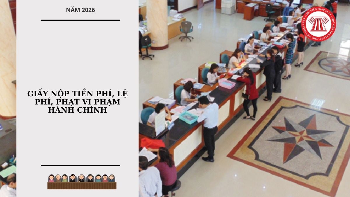 Hỏi đáp Pháp luật