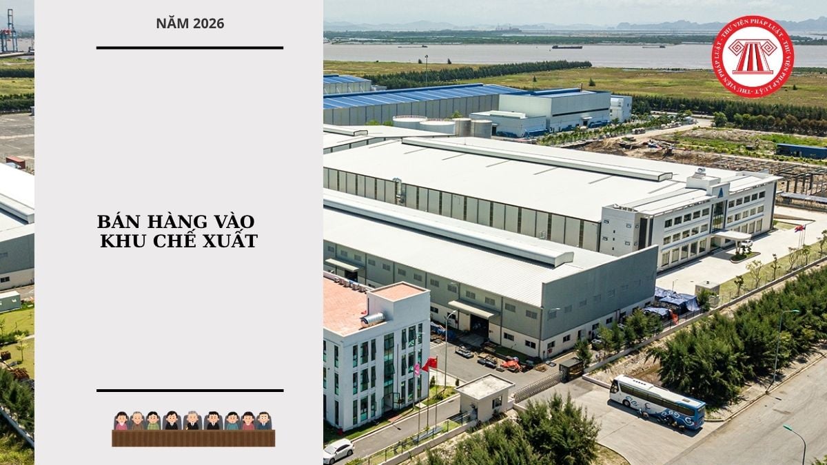 Hỏi đáp Pháp luật