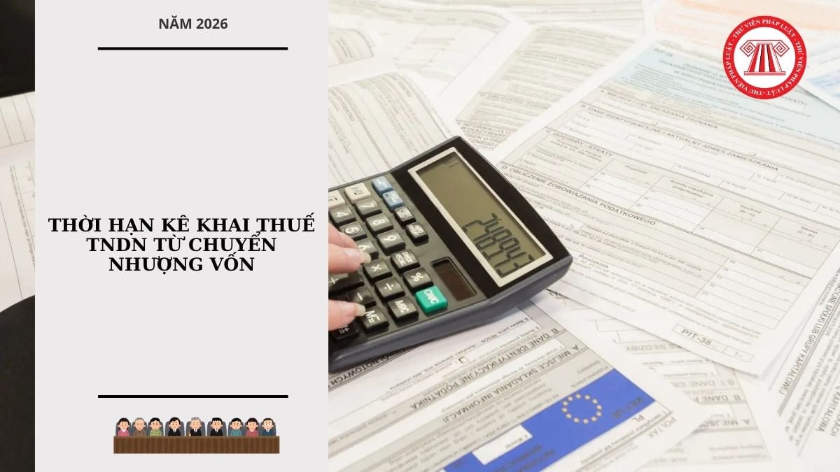 Hỏi đáp Pháp luật
