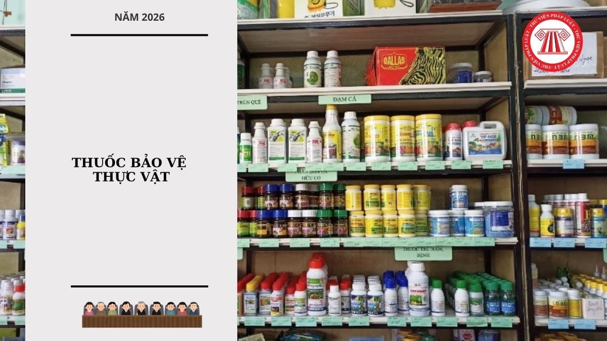 Hỏi đáp Pháp luật