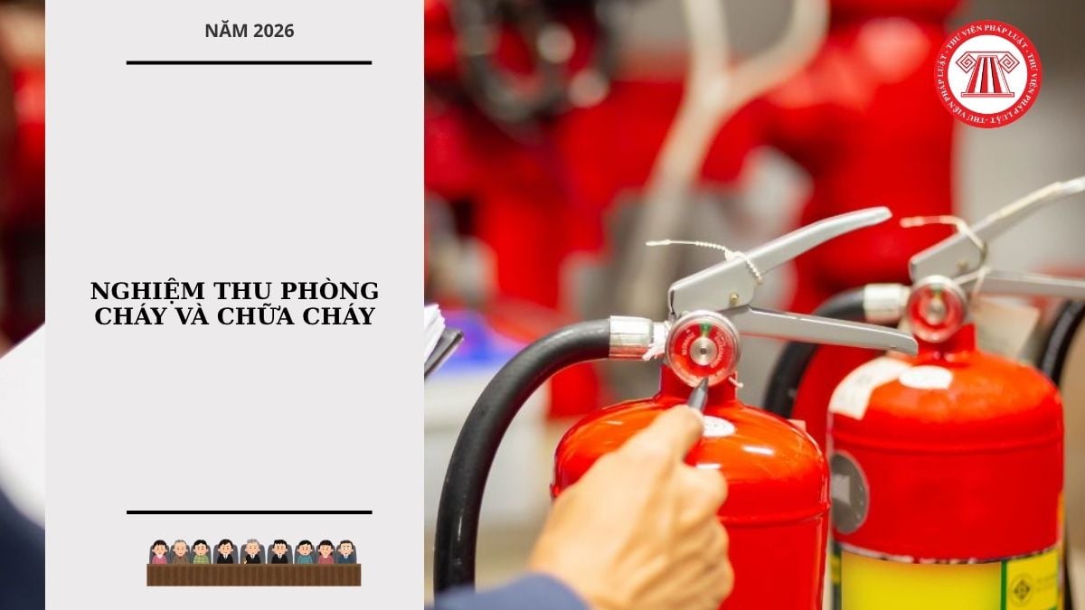 Hỏi đáp Pháp luật
