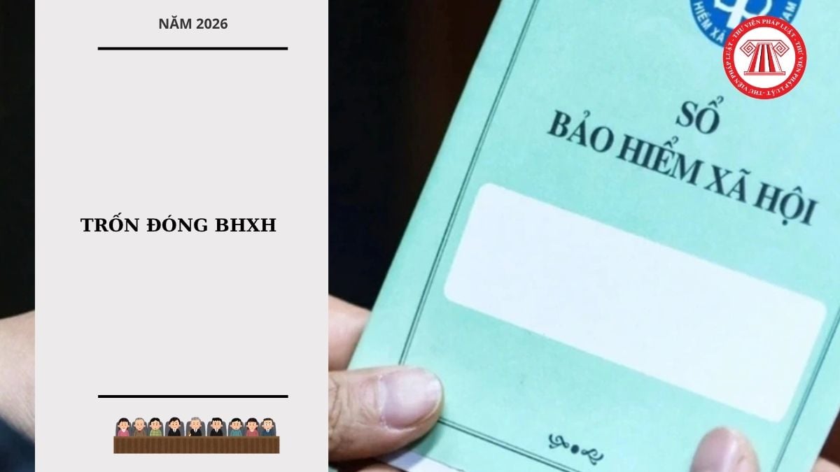 Hỏi đáp Pháp luật