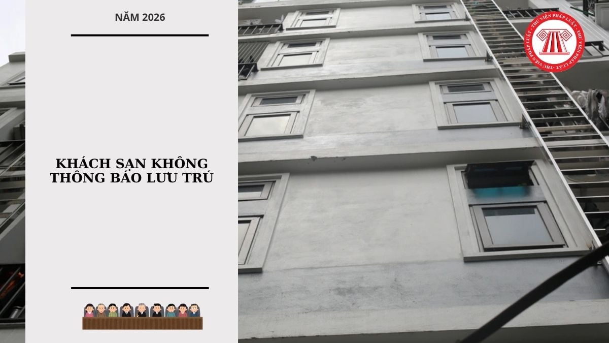 Hỏi đáp Pháp luật